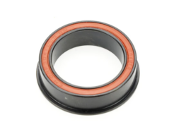 Enduro bearing